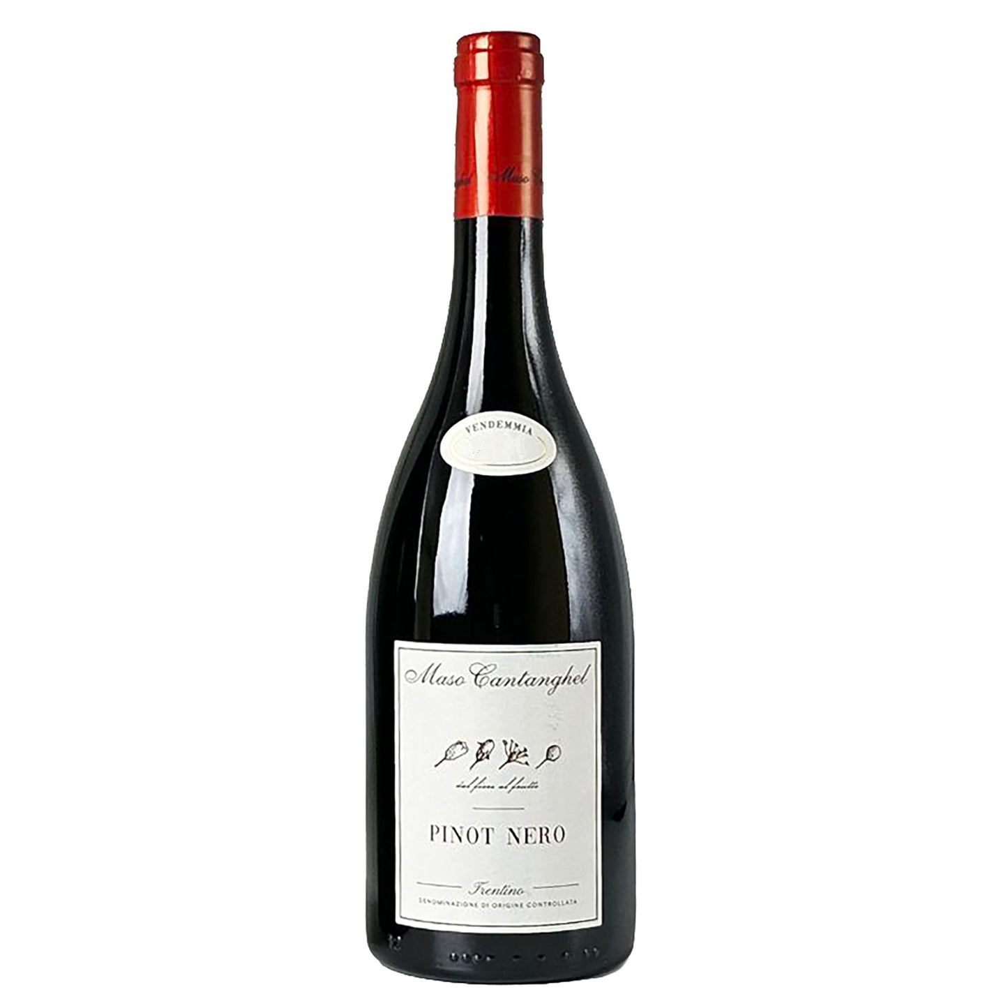 CANTANGHEL PINOT NERO 2022